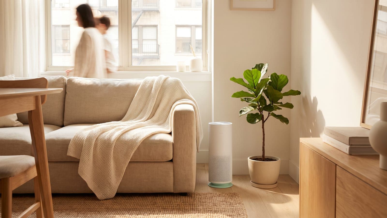 Best Air Purifiers for Apartments (2026)